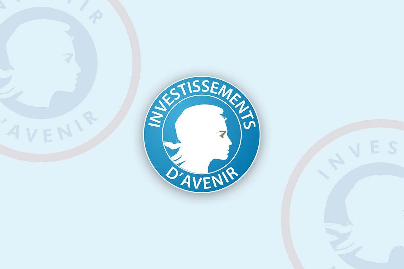 rech_actu_irpi_investissement_avenir.jpg