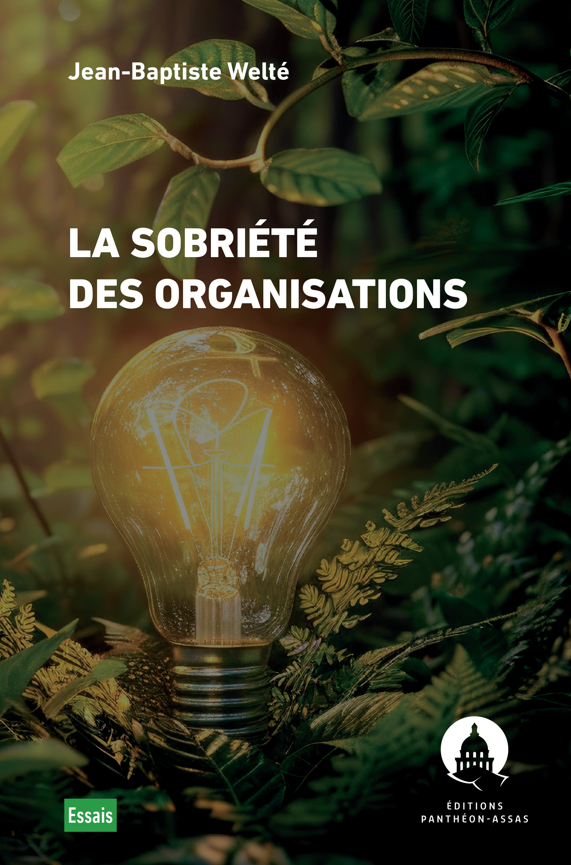 Couverture de l'ouvrage La sobriété des organisations