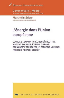 Couverture de l'ouvrage L'énergie dans l'Union européenne