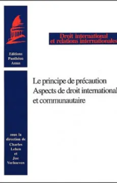 le-principe-de-precaution-aspects-de-droit-international-et-communautaire-9782913397217.jpg