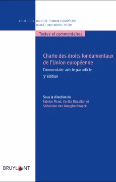 2023-charte_droits_fondamentaux_union_europeenne_commentaire_article.png